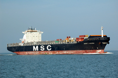 MSC Laura.JPG